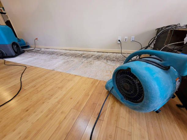 Reliable Basement Flood Cleanup contractor in North Las Vegas, NV by Hirex Water Damage