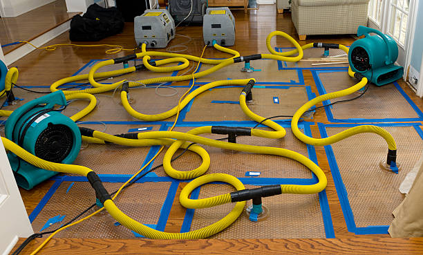 Professional Basement Flood Cleanup technician working in North Las Vegas, NV